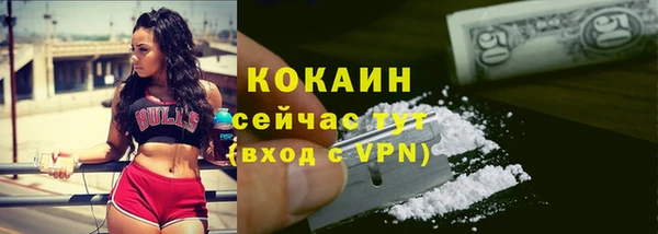 стафф Богородицк