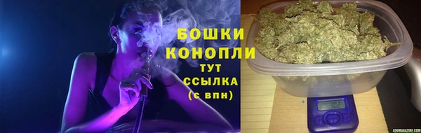 стафф Богородицк