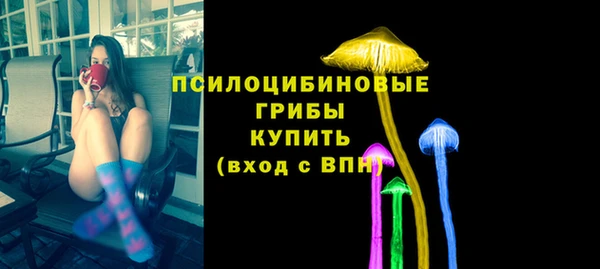 стафф Богородицк