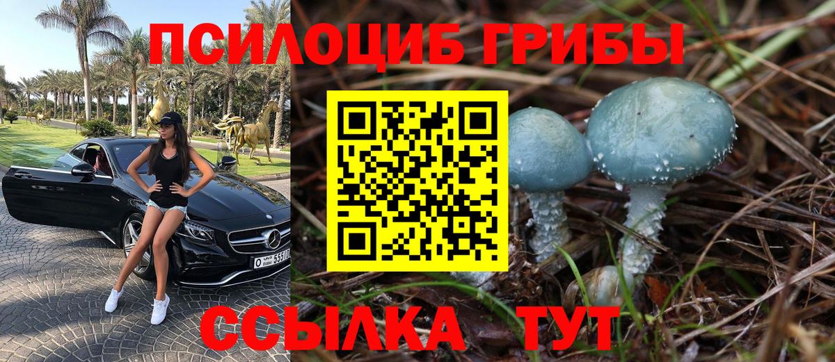 Псилоцибиновые грибы мухоморы Долгопрудный